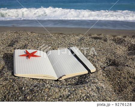 Open book and shell decoration 9276128
