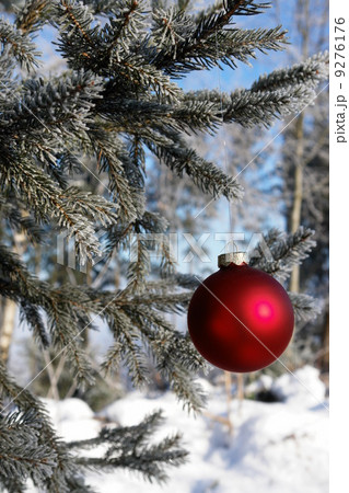 A red bauble hanging outside in winter 9276176