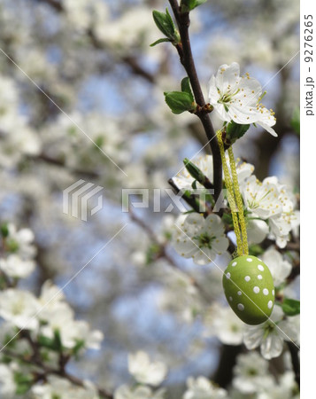 Easter Tree egg Easter Tree egg 9276265
