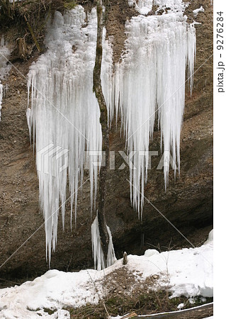 Winter 9276284