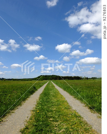 beautiful summer landscape 9276803