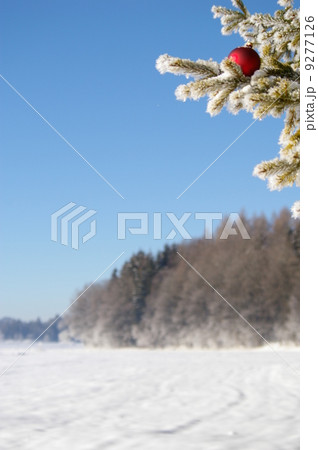 Bauble 9277126