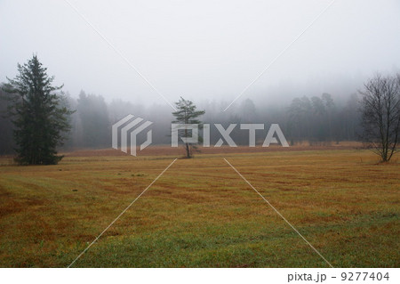 fog landscape fog landscape 9277404