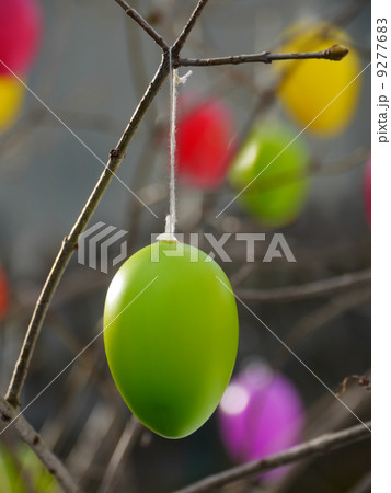 Easter eggs hanging on branches Easter eggs hanging on branches 9277683