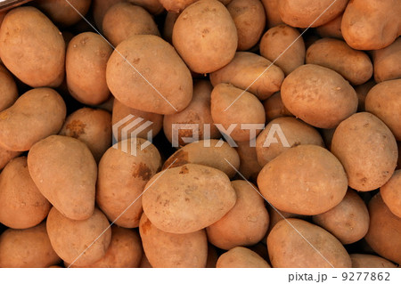 Potatoes 9277862