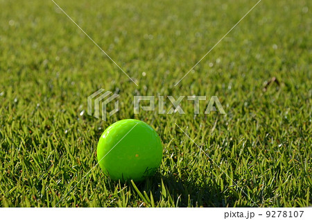 カラーボール カラーボール 9278107