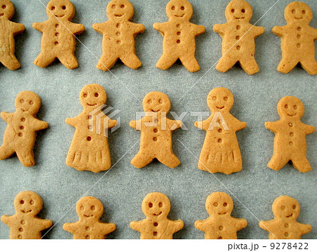 ジンジャーマンクッキー ジンジャーマンクッキー 9278422