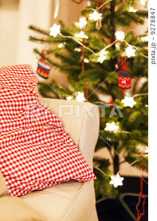 Christmas tree 9278847