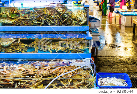 Seafood market fish tank 9280044