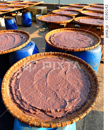 Shrimp paste 9280142