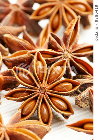 anise stars 9280419