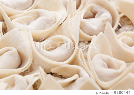 Fresh hand made Chinese dumpling 9280444