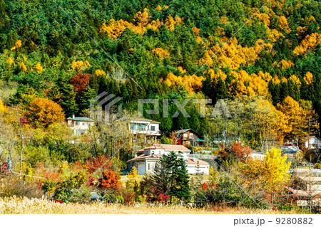 Village in forest Village in forest 9280882