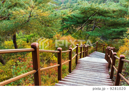 Wooden hiking path to the mountain Wooden hiking path to the mountain 9281020