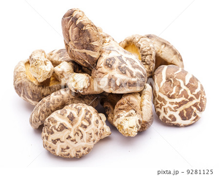 Shiitake isolated on white 9281125