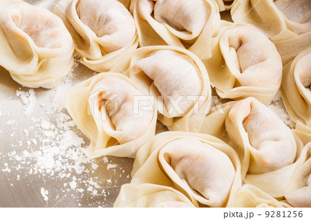 Homemade dumpling 9281256
