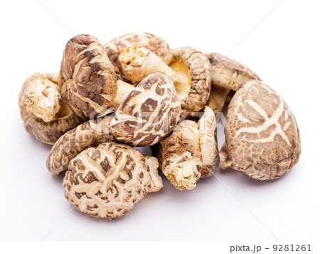 Dried shiitake isolated on white Dried shiitake isolated on white 9281261