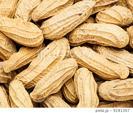 Peanut close up 9281307