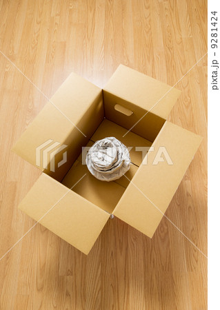 Parcel delivery 9281424