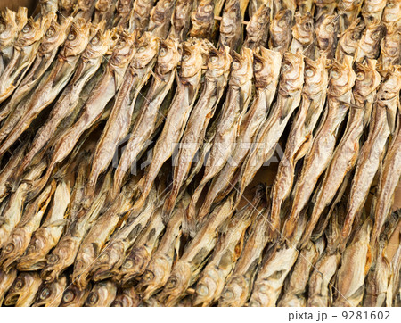 Traditional salty fish Traditional salty fish 9281602