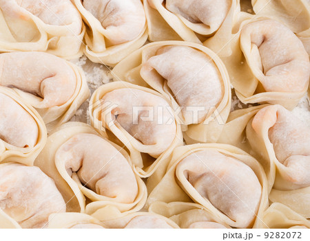 Homemade dumpling Homemade dumpling 9282072