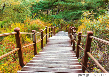 Wooden hiking path to the mountain 9282177