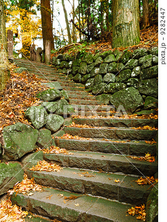 Pathway through the autumn forest 9282447
