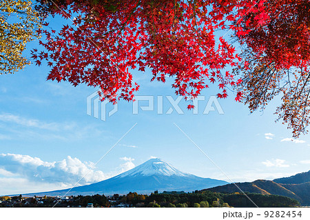Mt. Fuji in autumn Mt. Fuji in autumn 9282454