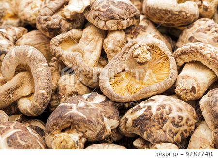 Dried mushroom Dried mushroom 9282740
