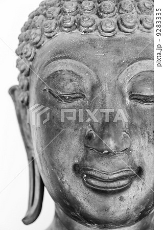 Black Buddha head statue Black Buddha head statue 9283335