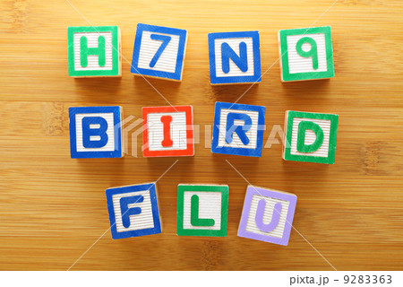H7N9 bird flu toy block 9283363