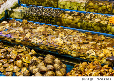 Seafood market fish tank Seafood market fish tank 9283483