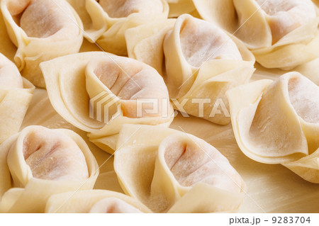 Chinese dumpling Chinese dumpling 9283704
