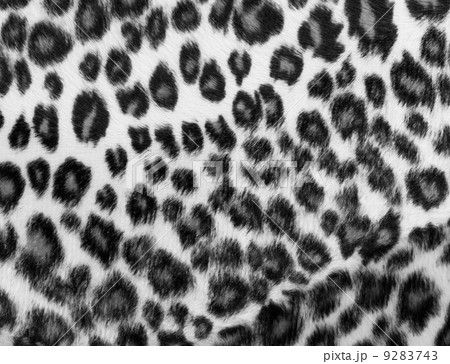 Monochrome leopard Print 9283743