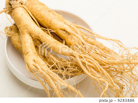 Ginseng Ginseng 9283886