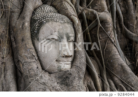 Buddha head in banyan tree at Ayutthaya 9284044