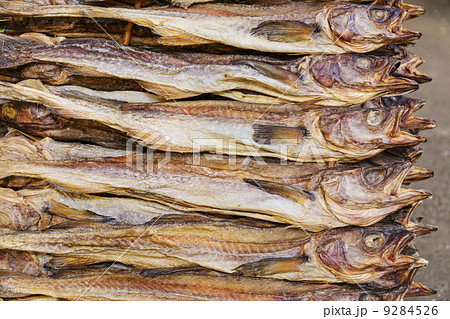 Pile of Dry salt fish Pile of Dry salt fish 9284526