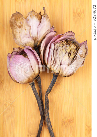 Bouquet of dried lotus 9284672