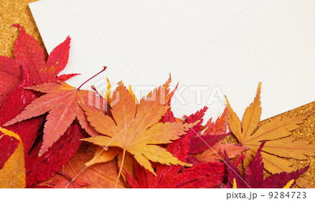 White Paper card with maple 9284723