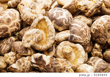 Dried shiitake Dried shiitake 9284844
