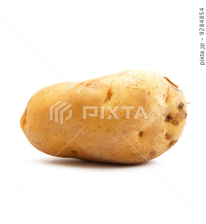 potato potato 9284854
