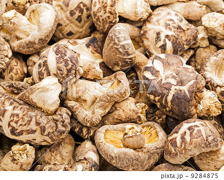 Dried shiitake 9284875