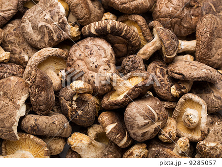 Dried mushrooms Dried mushrooms 9285057