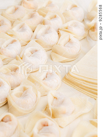 Homemade dumpling and raw material 9285568