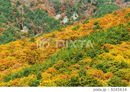 Mountain in Autumn Mountain in Autumn 9285619