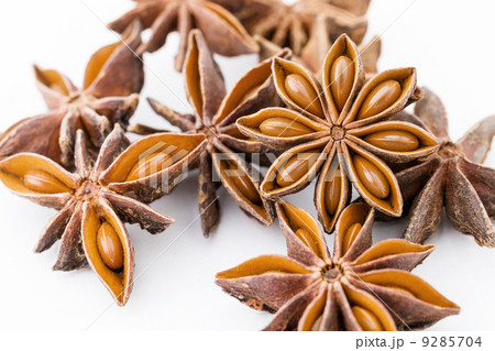 Chinese aniseed close up 9285704