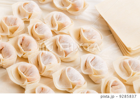 Homemade dumpling and raw material Homemade dumpling and raw material 9285837