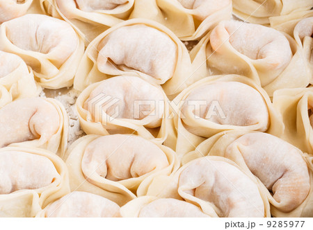 Homemade dumpling Homemade dumpling 9285977