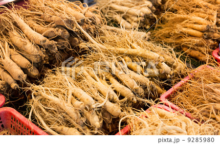 Fresh ginseng in food market Fresh ginseng in food market 9285980