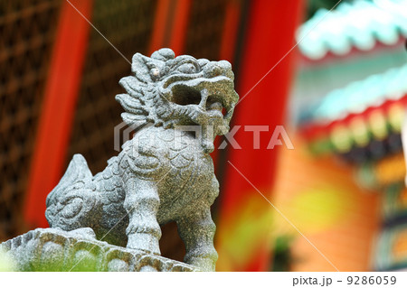 Chinese lion statue 9286059